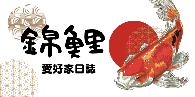 錦鯉愛好家日誌